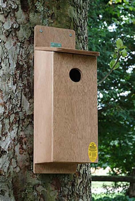 small bird boxes uk only